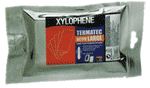 larve de termite
